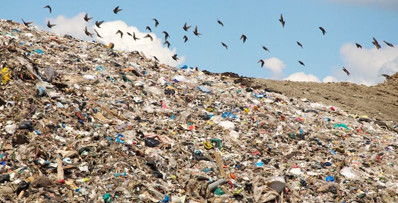 Waste exchange about to be launched in Serbia, RTS finds out what are the benefits