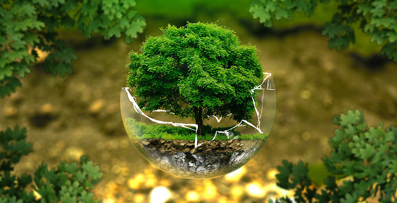 Energy Community Sustainability Forum to tackle key energy and climate challenges
