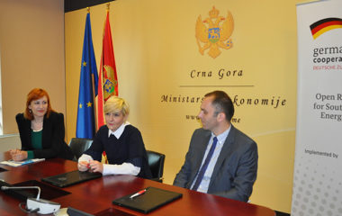 GIZ softver za MVP Crna Gora