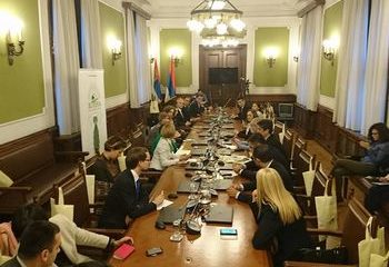 Zelena poslanicka grupa