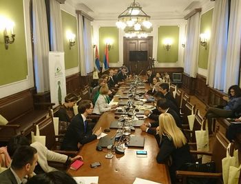 Zelena poslanicka grupa