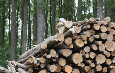 priboj biomasa grejanje javne zgrade