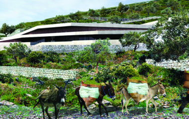 Issa Grotto Hill House