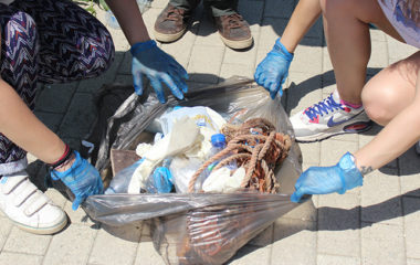 plasticni otpad na plazama kipar