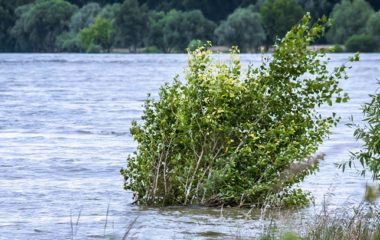 klimatske promene poplave bosna