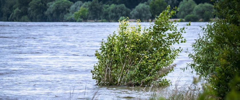 klimatske promene poplave bosna