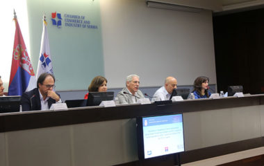 rasprava-strategija-energetika PKS