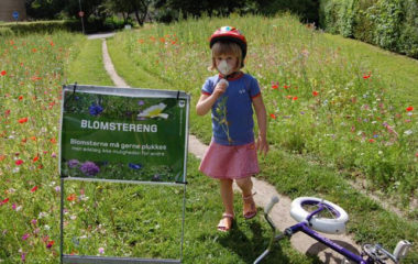 Hrvatski i slovenacki gradovi zainteresovani za energetski efikasna i pametna resenja iz Danske