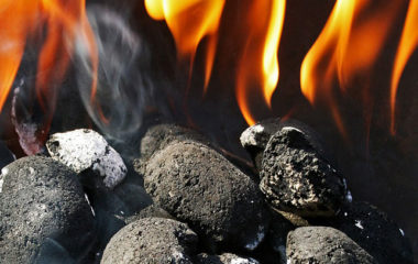 Veliko interesovanje za Energy Wood III program u Crnoj Gori