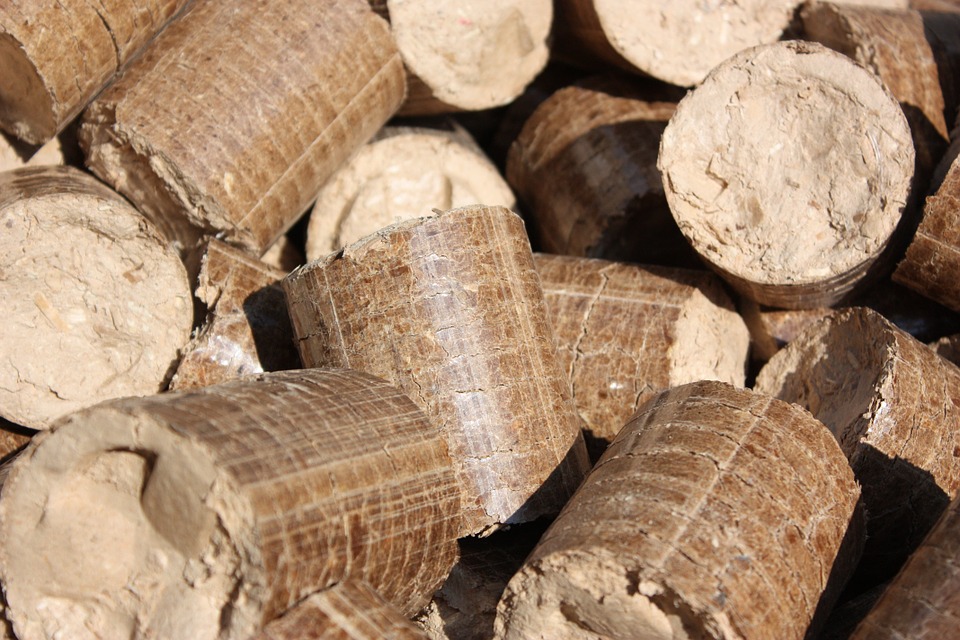 Iskorisceno vise od 80 odsto sredstava iz trece faze Energy Wood programa