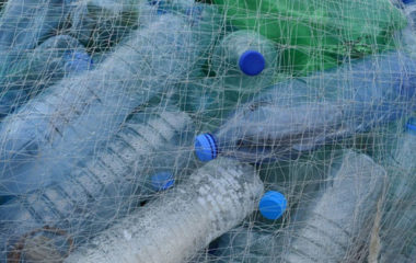 Radovic najavio uvodjenje depozitnog sistema za ambalazu u Srbiji