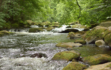 Javni poziv za dodelu sredstava na ime naknade za proizvod ZelEn