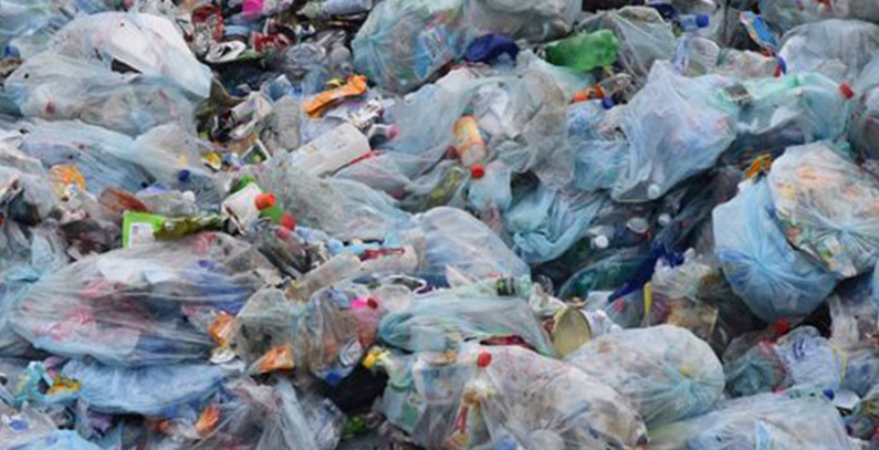 Srbija potpuno proteruje tanke plastične kese, naplaćivaće biorazgradive