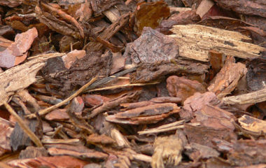 Izabran-izvodja -za-kotlarnicu-na-biomasu-u-Priboju-uskoro-tender-za-gradsku-toplanu