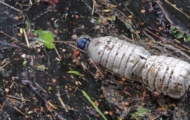 Od-Sijetla-do-Tirane-zahuktava-se-globalna-borba-protiv-zagadjenja-plastikom