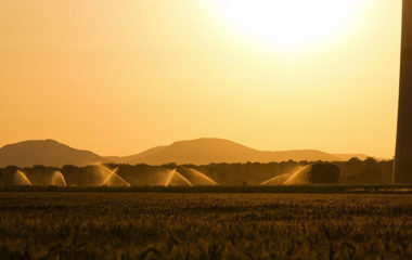 Raspisan-konkurs-za-subvencionisanje-koriscenja-solarne-energije-za-navodnjavanje