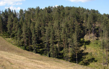 Srbijasume-povukle-odluku-o-naplati-ekoloske-takse-u-parkovima-prirode