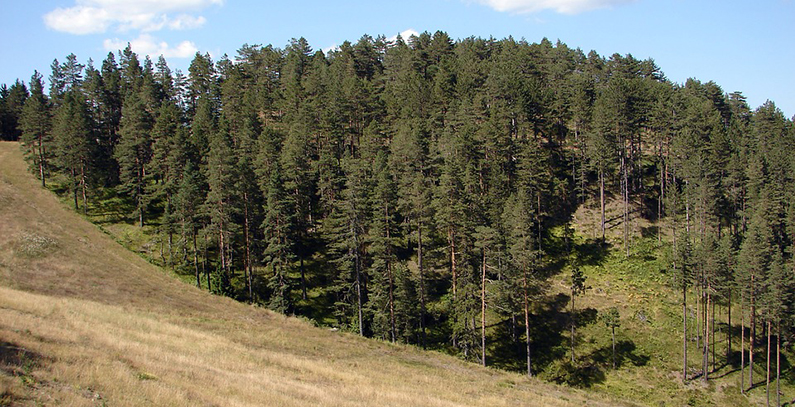 Srbijasume-povukle-odluku-o-naplati-ekoloske-takse-u-parkovima-prirode