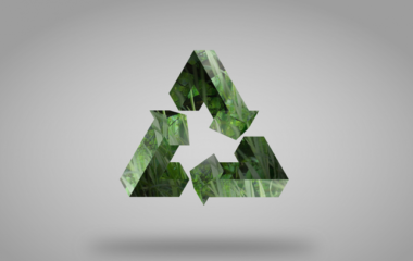 Upucen-poziv-reciklerima-proizvodja ima-visekratnih-kesa-da-se-prijave-za-podsticaje-za-2018.-–-sve-vise-zahteva-da-se-poveca-finansiranje