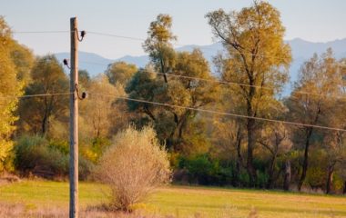 CEDIS-ulaze-816-miliona-evra-u-elektrodistributivnu-mrezu-tender-krajem-oktobra