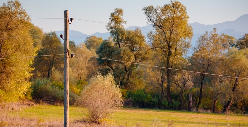 CEDIS-ulaze-816-miliona-evra-u-elektrodistributivnu-mrezu-tender-krajem-oktobra