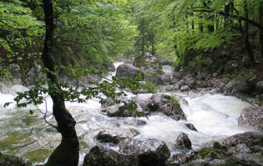 Nastavljen pad isplacenih subvencija za OIE i kogeneraciju u Sloveniji, u prvoj polovini 2018. elektrane dobile 69,4 miliona evra