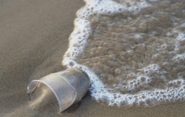 Biorazgradiva pakovanja startapa Biomyc kao zamena za stiropor i zastita okeana od zagadjenja