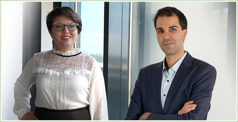 Premije kao mera za podsticanje investicija u obnovljive izvore energije u Severnoj Makedoniji
