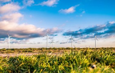 Boris-Granovski-direktor-Vetropark-Plandiste