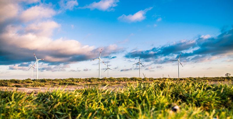 Boris-Granovski-direktor-Vetropark-Plandiste