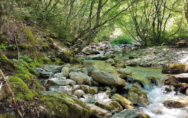 NVO-zabranjene-zone-gradnja-mhe