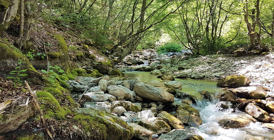 NVO-zabranjene-zone-gradnja-mhe