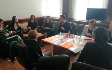 poslanici-Severna-Makedonija-rasprava-poglavlja-15-i-27-EU