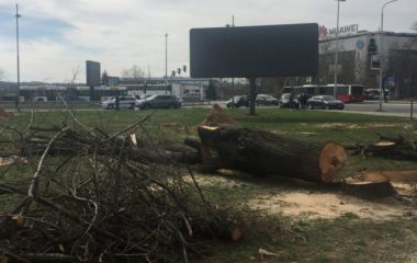 seca stabala beograd usce