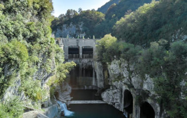 HSE-imenovala-Stojana-Nikolica-za-novog-generalnog-direktora