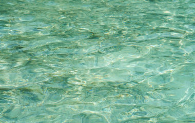 Opstina-Dimitrovgrad-zabrana-gradnje-MHE