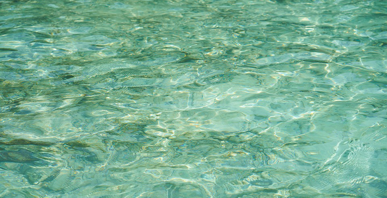 Opstina-Dimitrovgrad-zabrana-gradnje-MHE