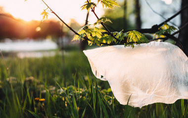 Pokrajinska-vlada-Deklaracija-zastita-zivotne-sredine-plasticne-kese