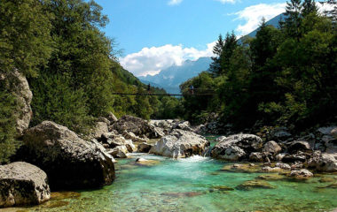 slovenija-subvencije-oie