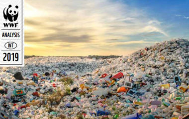 Nedeljno-pojedemo-oko-2.000-komadica-plastike-jednu-kreditnu-karticu