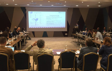 Region-JIE-pun-potencijal-energetske-tranzicije-IRENA