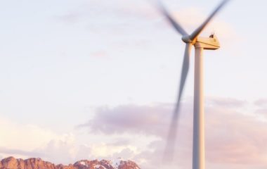 povlasceni proizvodjaci crna gora