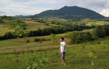 sumadija medjunarodna suma