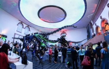 clim@ konkurs SFF GGF