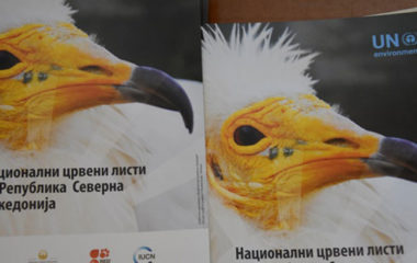 prva-crvena-lista-ugrozenih-vrsta-u-Severnoj-Makedoniji