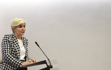 dragica sekulic akcize na ugalj zelena energija