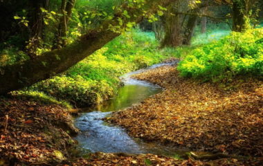 MHE Grza Paracin Rzav Zlatibor Prokuplje Uzice