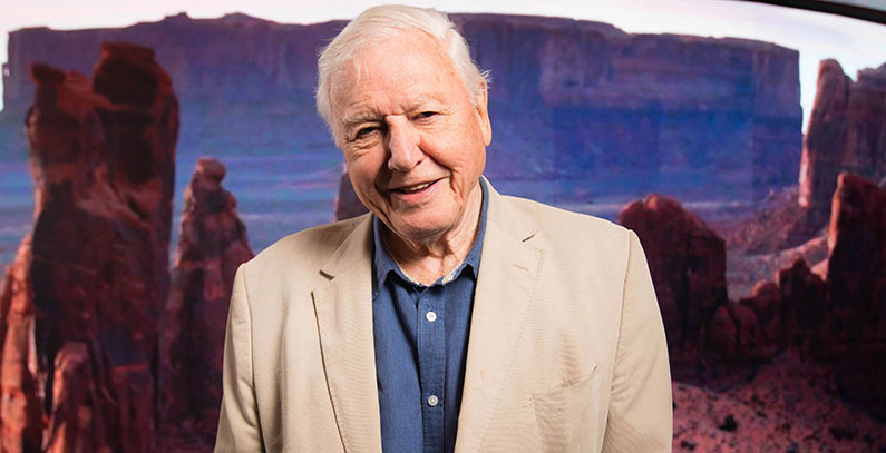 Attenborough najuticajnija poznata ličnost u anketi o životnoj sredini