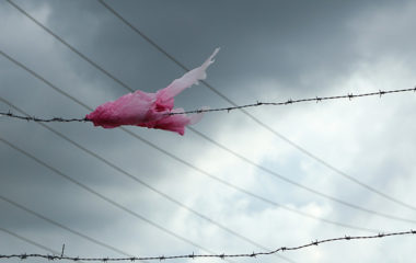 plasticne-kese-zakon-otpad