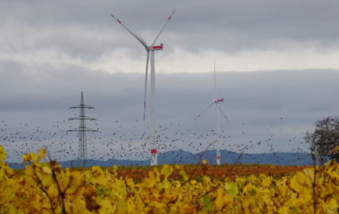 EU poziv 980 miliona evra infrastruktura zelena energija